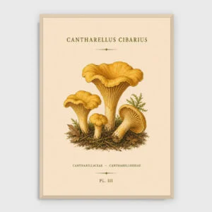 Gastronomie Nr. 19