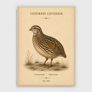Gastronomie Nr. 47