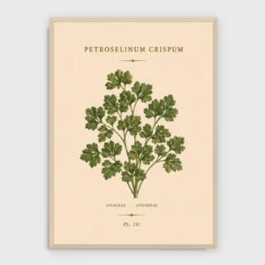 Gastronomie Nr. 31